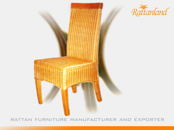 Salvador Dining Chair
